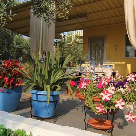 Joanna'S House Villa Skala Kallirakhis Ngoại thất bức ảnh